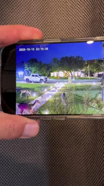 #windowcamera #securitycamera #homesecurity #windowsecuritycamera 