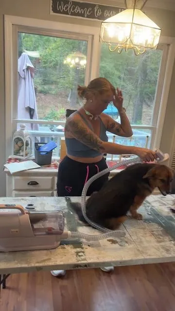 There were no puppers harmed in the making of this lol 