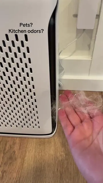 This air purifier is awesome for pet owners, especially. @Levoit_official @levoitpurifier #doghair #levoitairpurifier #airpurifier #petmusthaves #lowtoxliving 
