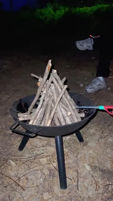 From Charcoal to Wood, This Torch Handles It All! 🔥🌲 #torch #flamethrower #bbq #tiktokshop #fyp