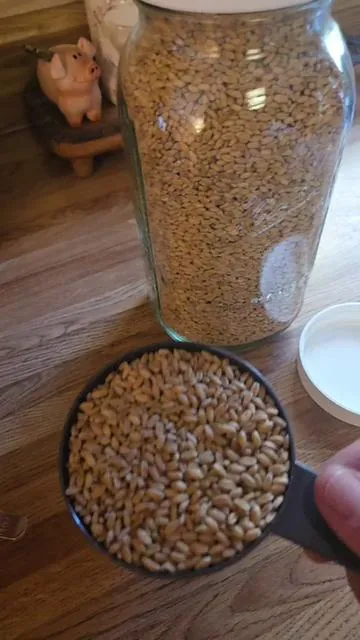 A skill that has been on my homesteading list for quite some time now has been to  be able to mill my own flour from wheat berries and learn how to use them in place of store bought flour. The benefits are infinite. Vevor has in my opinion the best grain mill on the market! Beating the competitors with price and power. Consider making the switch and joining me on my fesh milled flour journey. #grainmill #freshlymilledflour #bread #dailybread #homesteading