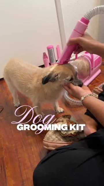 Now talk about convenience! This the pet grooming vacuum kit, pet grooming vacuum with clipper nail grinder #petgroomingkit#doggroomingkit #dogmom#doggroming#dogmusthaves#tiktokshopcbermonday #tiktokshopcreatorpicks #tiktokshopholidayhaul #dogmusthaves #superbranddaybfcm#openyoursuperstory