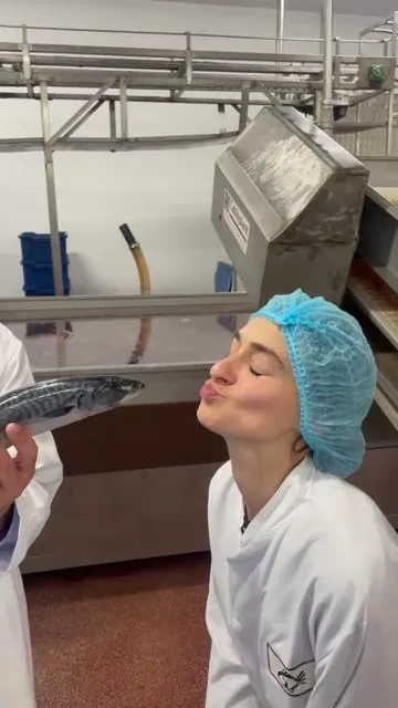 we’re Fishwife 👋!!! the easiest way to get delicious, high-quality protein into your diet 🐟 #fishtok #fish #fishwife 