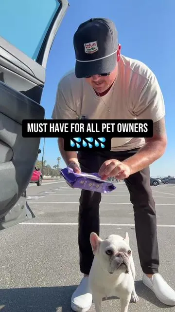 Pet glove wipes are the best. I bring these everywhere now. #petglovewipes #petwipes #dogsoftiktok #tiktokshopcreatorpicks #dogmom 