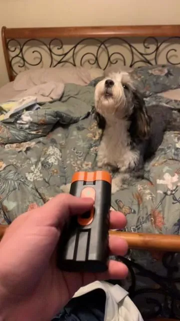 #dog #dogbarking #dogbarkingremote #dogtraining #TikTokShopCreatorPicks 