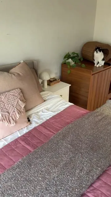 now that’s a litter box upgrade😻 This hidden litter box enclosure keeps your space clean, blocks odors, and even looks like modern furniture. It’s large enough for an automatic litter box, has a removable litter collector, and gives your cat the privacy they deserve. Perfect for small spaces or anyone who wants a cleaner, cozier home without sacrificing style.  There’s not many in stock so tap the orange cart to grab one before they’re gone! 💫  #litterbox #catlitterbox #tiktokshopcreatorpicks #tiktokshopblackfriday #tiktokshopcybermonday  