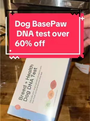 Unlock your pup’s story with Basepaws 🐶✨ This dog DNA test reveals their breed mix, genetic traits, and health markers — everything you’ve ever wanted to know about your best friend! #DogDNA #Basepaws #BFCM #DogDNADeals  #TikTokShopBlackFriday