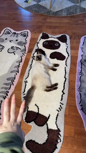 There are sooo many new colors and cat types in the cat rugs, if you haven’t seen them lately there might be one that matches your cats! #catrug #tiktokshopblackfriday #tiktokshopcreatorpicks #holidaygiftguide #homestylefinds 