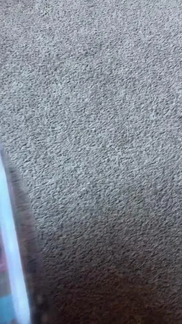 These are the absolute top toy in our house. Forget any other kind of toys in the house the kids always go for these and on the insane deal that they are you best believe I am adding multiple more sets! @Magnetopia knows exactly what they’re doing! #kidstoys #christmasgifts #tiktokshopblackfriday #fyp #kidsgifts 