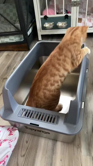 Stainless steel litter boxes! #stainlesssteellitterbox #tiktokshopcreatorpicks #tiktokshopcybermonday #tiktokshopblackfriday #bfcm 