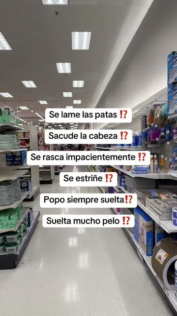 El estómago de ellos es súper importante cuando tú cuidas su estómago, estás cuidando básicamente todo de ellos. #DogMom #healthydogs #dogsoftiktok #doglover #tiktokshopblackfriday 