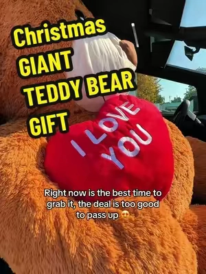 THE PERFECT CHRISTMAS GIFT 🎁🩷🩷 #teddybear #christmasgiftideas #TikTokshopBlackFriday #tiktokshopcybermonday #tiktokshopcreatorpicks 