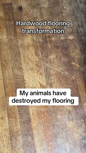 #WoodFlooring #Pets #Home #Restore #TikTokShopBlackFriday 