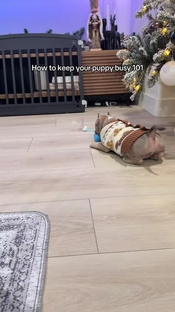 She loves this toy 