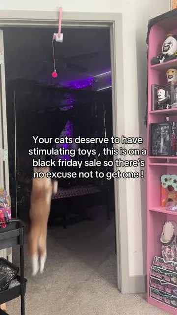 You can’t beat this deal ! #happycode #electriccattoy #blackfriday #catteaser 