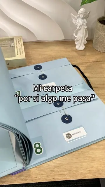 Mi carpeta “Por si me muero” mantiene todos los documentos importantes organizados, fáciles de guardar y de encontrar. ❤️#organized #blackfriday#tiktokshopcreatorpicks#TikTokShopBlackFriday#TikTokShopCyberMonday
 
