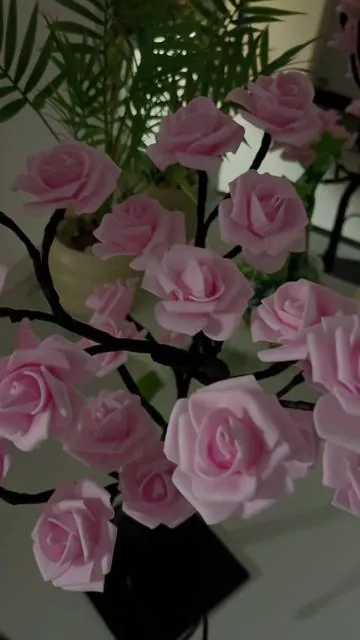 #fouyou #rose #roses 