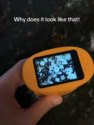Everything looks so much cooler magnified!  #kidsmicroscope #microscope #coolgadgets #giftsforkids #giftsforkids 