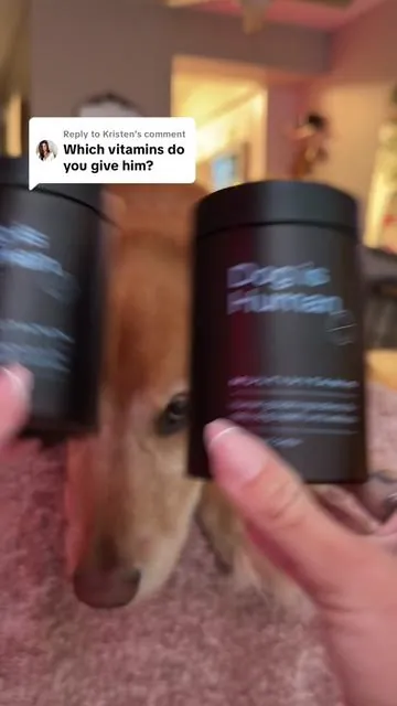 Replying to @Kristen i have seen such a huge difference with these vitamins @Dog is Human 