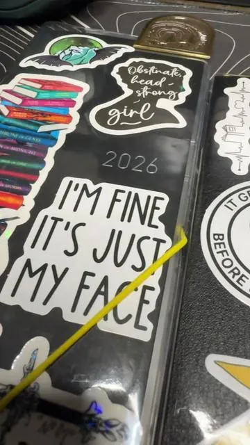 Some of my favorite stickers came from this pack. 🫶🏼 “I’m fine, it’s just my face.” “Your did it.” “It gets worse before it gets worse.” “One mental breakdown later.” “I’m actually not funny I’m just mean and people think I’m joking.” #stickers #journaling #hobonichi #hobonichiweeks #hobonichitecho 