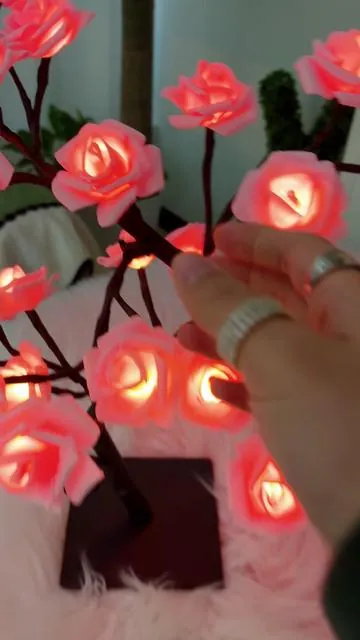 #rose #roses #light #fouyou #blackfriday 