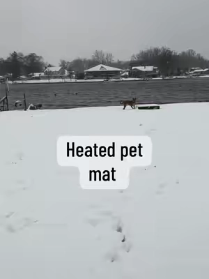 Snow is fun but this heated pad? LIFE-CHANGING. Get one for your dog, we’re cold, we’re dramatic, we need comfort. #dog #dogs #heatedpetbed #dogsoftiktok