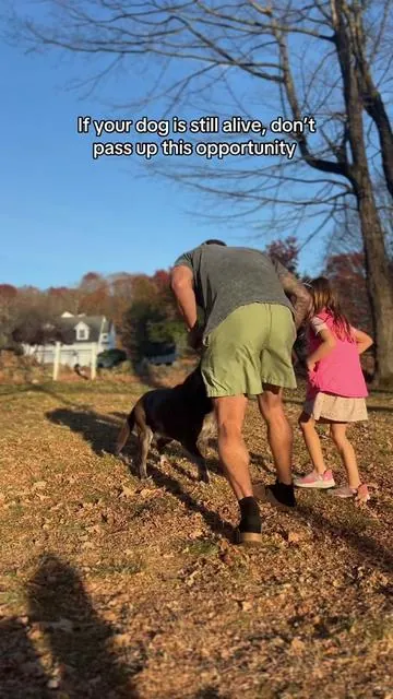 I couldn’t love it more #seniordog #seniordogsoftiktok #olddogs #olddogsoftiktok #dogmom 