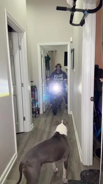 I actually can’t believe how torquey this e bike is  #ebike #commuter #BFCM #TikTokShopBlackFriday #TikTokShopCyberMonday 