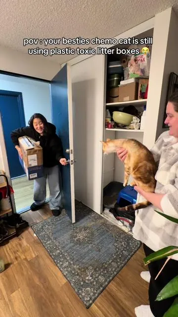 We all need to switch to stainless steel litter boxes. My bestie is already spending so much on Smokey’s cancer care, so I went ahead and got her one bc her plastic boxes are literally toxic 😓❤️‍🩹 @Geoorood Pet US @Geoorood pet #tiktokshopblackfriday #tiktokshopcybermonday #catlover #cathealth #sickcat  