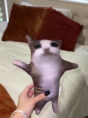 Ohhhh myyyy this cat is a must have #cat #catmeme #meme 