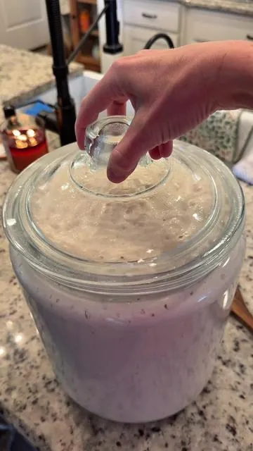 Eve is the gift that keep on giving 🫶🏼 #sourdough #sourdoughstarter 