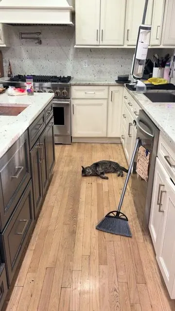 You need a vacuum and a mop all in one? This is the best ever product. You can’t go wrong and you will thank me for this. The Tineco I5 breeze is the cheapest from all over the internet. It’s excellent. #fyp #fypシ #vacuumcleaner #floorcleaning #cleaning ad