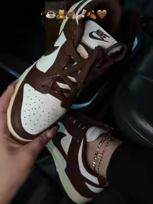🍂🤎#nike #nikedunk #fall #shoes #tenis 