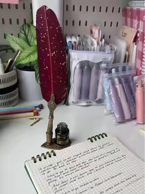 #featherpen #writing #journaling #journaltok #tiktokshopholidayhaul 