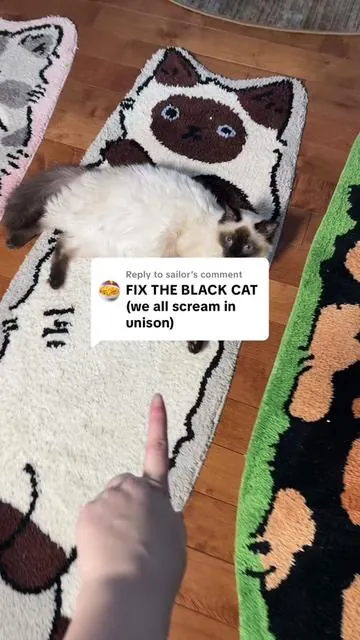 Replying to @sailor they fixed the black cat rug!!! #catrug #letsrug #tiktokshopcreatorpicks #tiktokshopholidayhaul #catgiftideas 