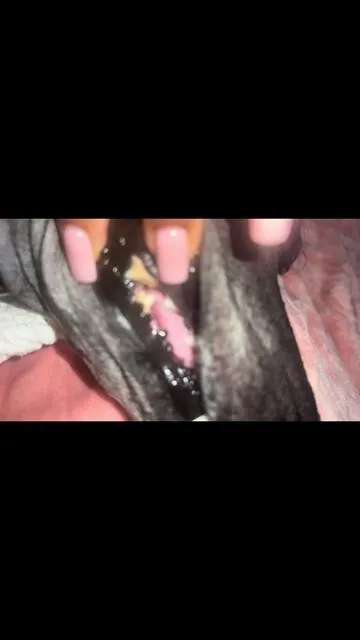 I was able to remove all the hard plaque and honestly it’s saved me over $400 in dog dental treatment and I’d highly recommend this device #review 