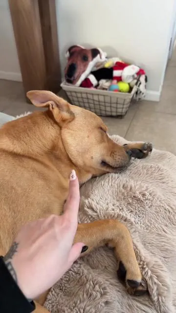 7582362836173737230