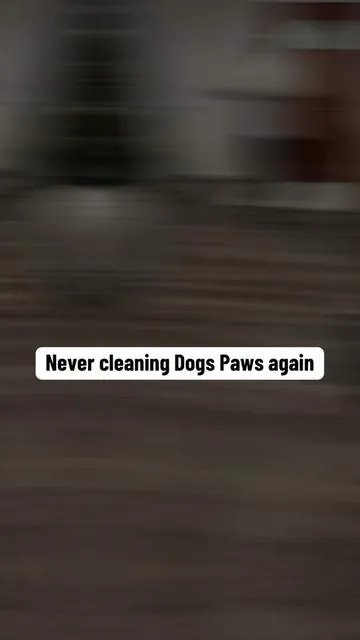 No more cleaning floors twice a day anymore❤️🙏🙏 #muddymat #dogowners #dogproducts #tiktokshopholidayhaul #tiktokshopcreatorpicks 