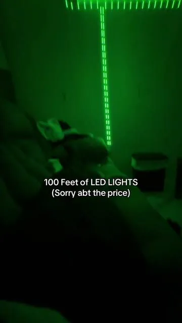 These LED Lights are a MUST HAVE for your room/dorm and they are on sale for super cheap #ledlights #tiktokshopholidayhaul #dormroomdecor #boysroomdecor #ledlightstrip 