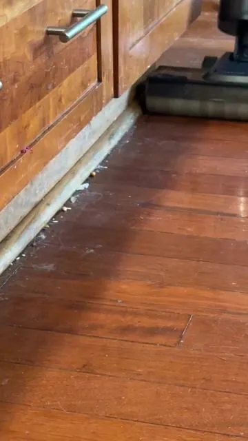 To say I was impressed by this mop vacuum is an understatement. It did a fabulous job at getting everything clean and it’s super great quality and a really good price.