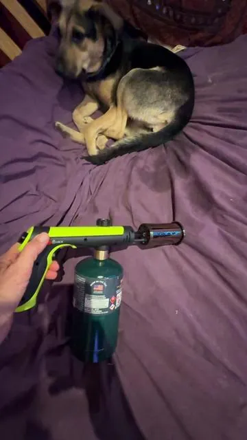 Solar Street Lights and Torch! #tiktokshopcreatorpicks #tiktokshopholidayhaul 