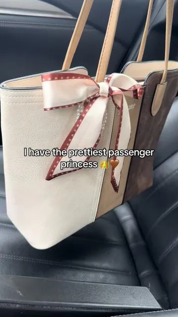 Amazing price! #tiktokcreatorpicks #creatorsearchinsight #tiktokshopfinds #tiktokshop #bag 