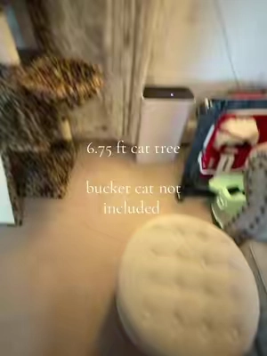 #catsoftiktok #cat #cattree #cattower 