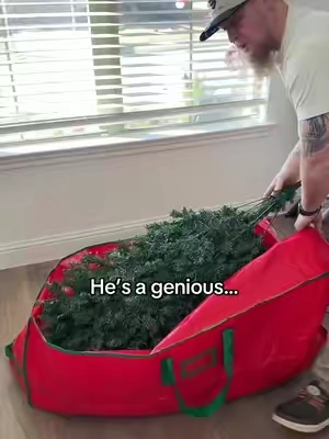 Why didn’t I think of this!? #christmas #christmastree #storage #tiktokshopcreatorpicks #tiktokshopholidayhaul 