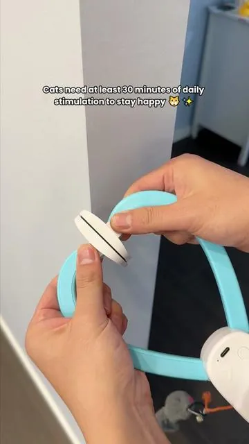 From bored to obsessed in 3 seconds.#catpick  #cattoy    #pettoys    #toysforcats    #catsofttiktok  