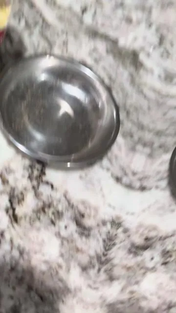 What I’ve learned about getting cats to drink more water-pet food topper, freeze dried chicken, egg yolk, cranberry and pumpkin #petfood#pethydration #pickycats#catlovers#petparents