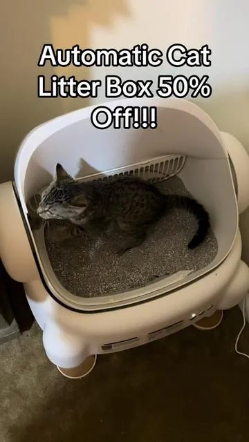 Automatic self cleaning cat litter box. #litterbox #cat #selfcleaninglitterbox 