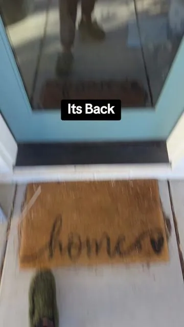 WYZE Palm Lock is BACK IN STOCK! #wyzepalmlock #smartlock #homesecurity #tiktokshopcreatorpicks #tiktokshopholidayhaul @Wyze 