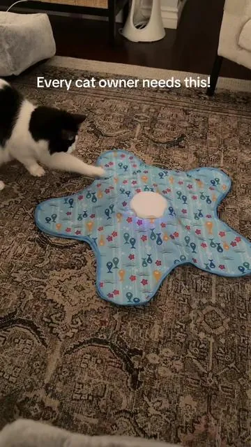 The perfect interactive cat toy for cat owners! Keeps them entertained for hours. Perfect if you work from home and your kitties like to bug you 😹 @SPOVEN  #cat #cats #catsoftiktok #cattoys #tiktokshop 