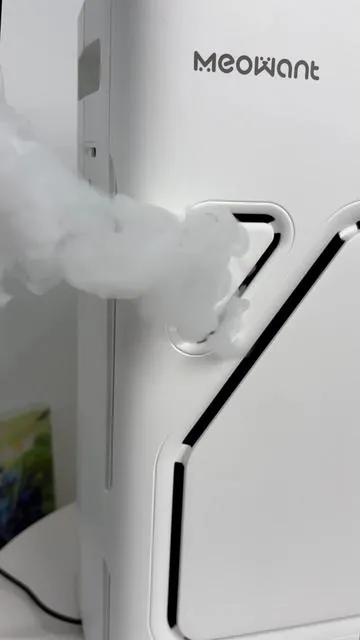 I don’t have to go out anymore 🪶#airpurifier #lifehack #aircleaner#petsoftiktok #meowant